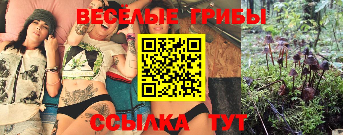 наркошоп  Псилоцибиновые грибы мухоморы  Вход с VPN  Ртищево 