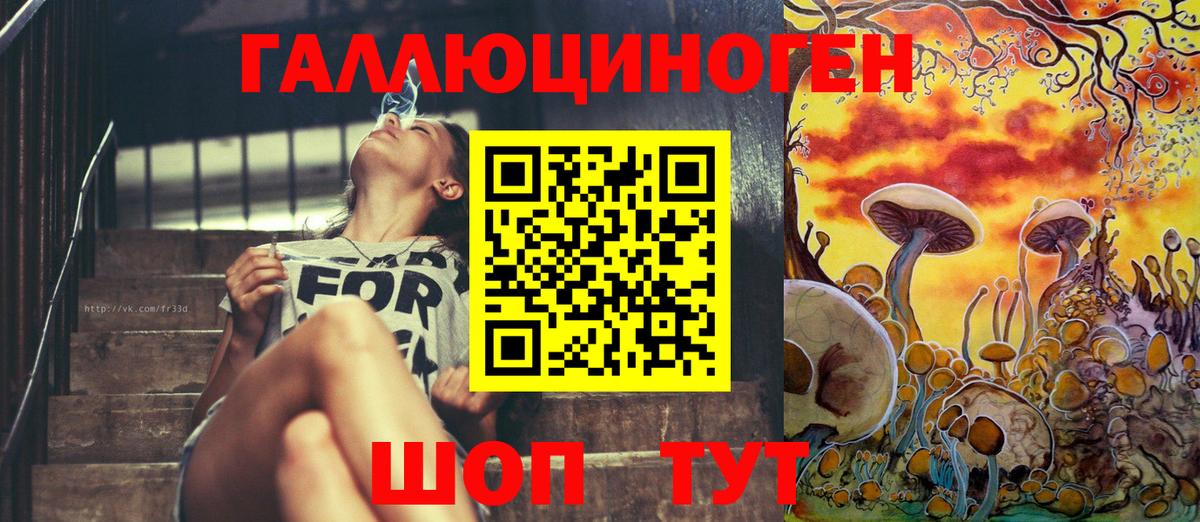 Псилоцибиновые грибы Psilocybe Ртищево